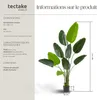 Arbre oiseau du paradis TROPIC - 160 cm Voir les images du produit 6