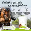 PHA Muskel&Leistung für Pferde 850 g Produktbild-Vorschau 3
