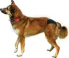 Trixie Schutzhöschen, S–M: 32–39 cm, Schwarz Produktbild-Vorschau 5