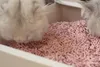 Katzenstreu 2,5 kg mit Pfirsichduft, schnell klumpend, Produktbild-Vorschau 5