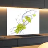 Spritzschutz Küchenrückwand Glas 80 x 50 cm Weintraube im Produktbild-Vorschau 2