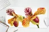 MuchoWow® Mauspad Mousepad Orange Orchidee 60x30 cm - Produktbild-Vorschau 5