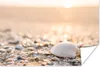 MuchoWow® Poster Muscheln - Weiß - Strand - Sommer 180x120 Produktbild-Vorschau 1