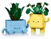 LEGO Botanicals Vrolijke Planten - Speelgoed voor kinderen Productafbeelding-voorbeeld 8