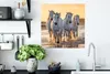 MuchoWow® Poster Pferde - Wasser - Strand - Tiere 50x50 cm Produktbild-Vorschau 3