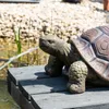 esotec Solar Wasserspeier Set Schildkröte Maru + Pumpe Produktbild-Vorschau 5