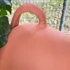 Bouteille nichoir pour moineaux et mésanges Voir les images du produit 2