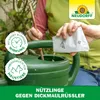 Neudorff Nützlinge gegen Dickmaulrüssler – 5 Mio. Produktbild-Vorschau 8