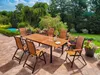 FLAMINGO Gartentisch rechteckig für 6-8 Personen, klappbare Produktbild-Vorschau 11