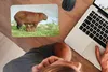 MuchoWow® Mauspad Mousepad Ein Wasserschwein mit zwei Produktbild-Vorschau 3