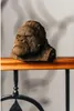 Cartonic 3D-Puzzle Gorilla, singe, kit 3D en carton, Voir les images du produit 11