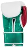 Guanti da boxe in pelle METALSHIRE Bianco/Verde/Rosso 14 oz Anteprima dell’immagine prodotto 11