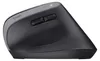 Trust Bayo+ mouse Mano destra RF senza fili + Bluetooth Anteprima dell’immagine prodotto 7