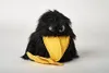 Handpuppe Rabe 28 cm Kuscheltier Vogel Uni-Toys Produktbild-Vorschau 1