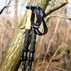 Two trekking poles are leaning against a tree branch in a forest. Náhled obrázku produktu