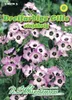 Gilie Tricolor | Blumensamen von N.L. Chrestensen Produktbild-Vorschau 1