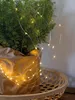 A potted plant decorated with string lights, placed in a basket. Produktbild-Vorschau