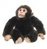 WWF - Peluche - Chimpanzé (23cm) réaliste Peluche singe en Voir les images du produit 2