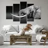 Bild auf Leinwand - Leinwandbild - Elefant Stoßzahn Natur - Produktbild-Vorschau 6