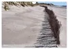 Amrum Glücksort (Wandkalender 2027 DIN A4 quer), CALVENDO Produktbild-Vorschau 6