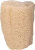 Houba Loofah Náhled obrázku produktu 3