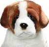 Close-up of a stuffed dog toy. Podgląd zdjęcia produktu