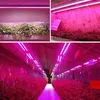 Collage of images showing grow lights illuminating plants in different settings: a vertical garden, a greenhouse, and a grow tent. Náhled obrázku produktu