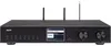 Telestar Dabman i510 BT - Sieciowy odtwarzacz audio - 5.1 - Podgląd zdjęcia produktu 15