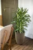 Capi Vase Groove Elegant 46x58 cm Schwarz und Golden Produktbild-Vorschau 7