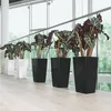 Donica Doniczka Lechuza Do Domu Na Taras CUBICO Premium Podgląd zdjęcia produktu 19