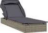 vidaXL Sonnenliege mit Faltdach Grau 213x63x97 cm Poly Produktbild-Vorschau 1