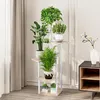 A multi-tiered plant stand with several potted plants is placed in a room with curtains and a cabinet. Náhľad obrázku produktu