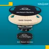 An exploded view diagram of a balance board, showing its different components and features. Voir les images du produit