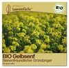 Samenliebe  Gelbsenf Samen | Bienenweide - samenfestes  Produktbild-Vorschau 1