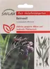 SAFLAX - Żywokost - 15 Nasiona - Symphytum officinale Podgląd zdjęcia produktu 1