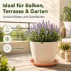 Podstawka pod doniczkę Mira terakota Ø 29cm - okrągła Podgląd zdjęcia produktu 2