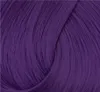 La Richè Directions Violet 89 ml Produktbild-Vorschau 25