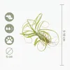 Bloomique - Mix di 10 - Tillandsia - Tillandsia - Vere Anteprima dell’immagine prodotto 7
