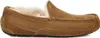 Ugg Ascot M Chestnut - Heren Pantoffel - 1101110-CHE Produktbild-Vorschau 16