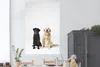 MuchoWow® Poster Zwei Labrador Retriever zusammen im Studio Produktbild-Vorschau 2