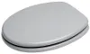 SANILO® WC-bril Manhattan, grijs, direct van de fabrikant. Productafbeelding-voorbeeld 2