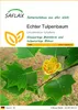 SAFLAX - Echter Tulpenbaum - Liriodendron tulipifera - 20 Produktbild-Vorschau 1