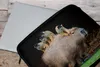 MuchoWow® Laptop Hülle 15 Zoll Ein Capybara mit Affen Produktbild-Vorschau 4