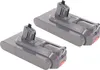 Two gray vacuum cleaner batteries are shown against a white background. Voir les images du produit
