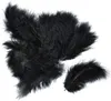 Meyco Marabu Federn in schwarz 17 Stück circa 10 bis 12cm lang Anteprima dell’immagine prodotto