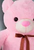 Close-up of a pink teddy bear's face and chest with a brown ribbon. Náhled obrázku produktu