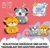 LEGO 10977 LEGO Duplo 10977 Mein erstes Hündchen & Kätzchen Voir les images du produit 25