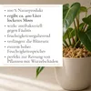 Sphagnum Moos 5000g, ca. 400L – stark Wasser-speicherndes Produktbild-Vorschau 4