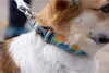 Ruffwear Hundehalsband Crag™ Collar Rising Wave Produktbild-Vorschau 9