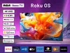 A television screen displaying a colorful abstract image, with feature callouts on the left and streaming service logos at the bottom. Podgląd zdjęcia produktu